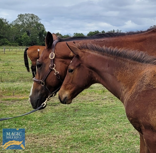 20221204_124350.jpg - Image 4