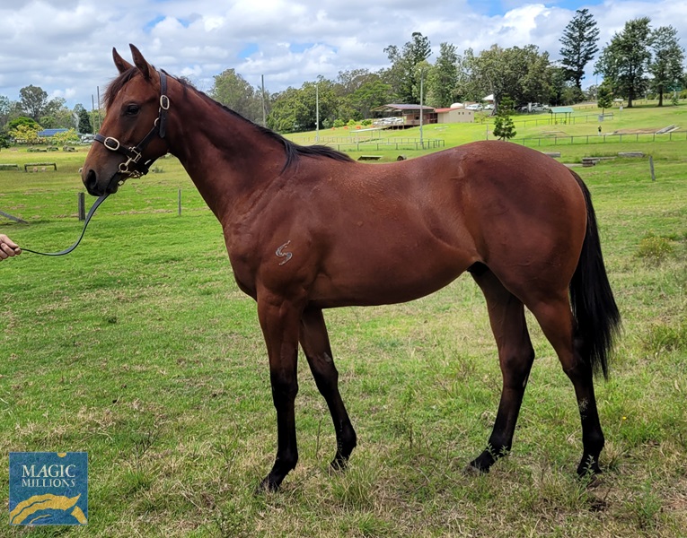 20221204_103235.jpg - Image 1