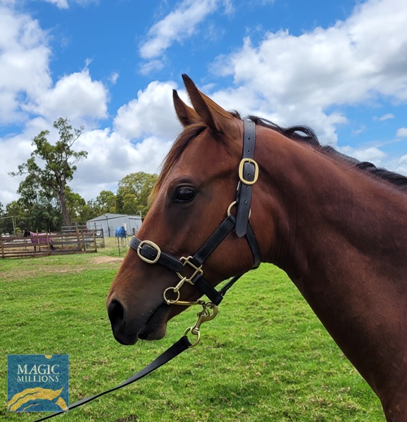 20221204_104055.jpg - Image 4