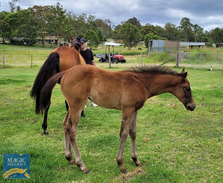 20221204_112751.jpg - Image 4