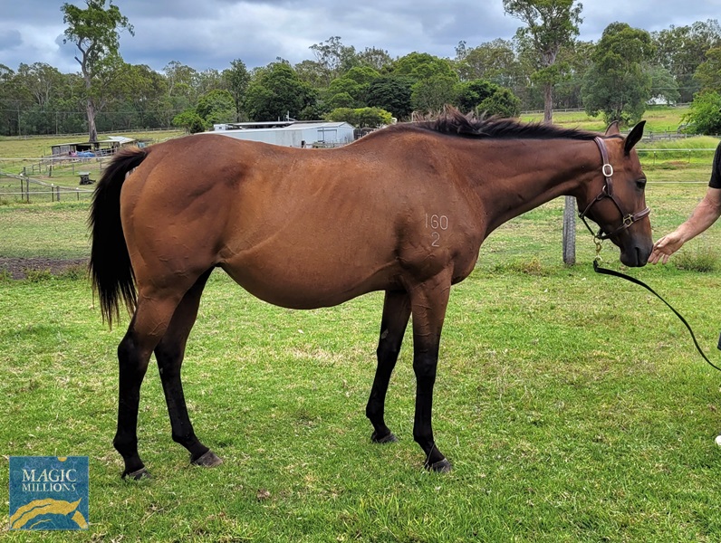 20221204_121654.jpg - Image 4