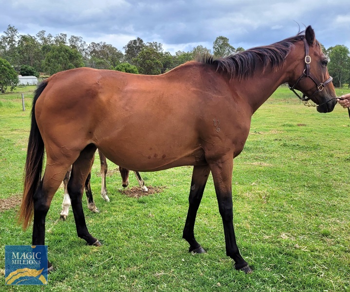 20221204_124114.jpg - Image 4