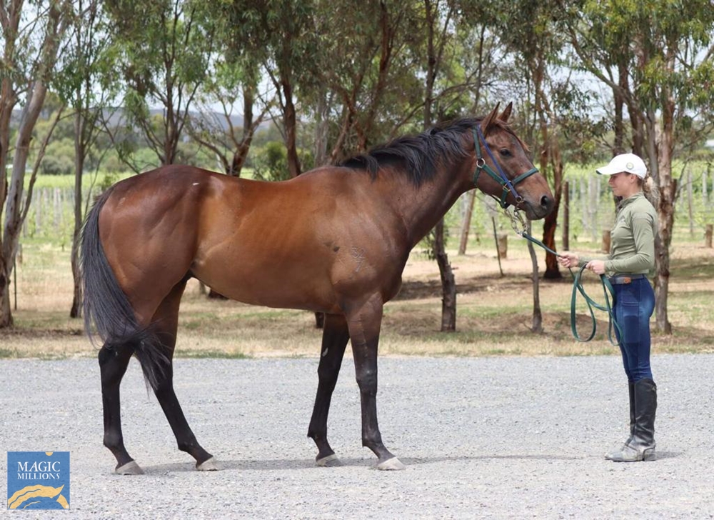 Short Stories (AUS) - Image 1