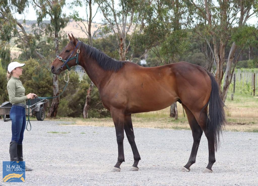 Short Stories (AUS) - Image 2