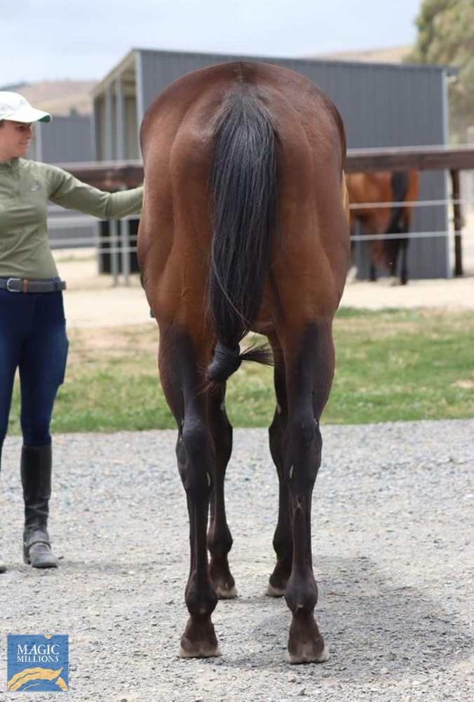 Short Stories (AUS) - Image 3