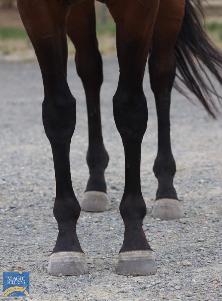 Short Stories (AUS) - Image 6