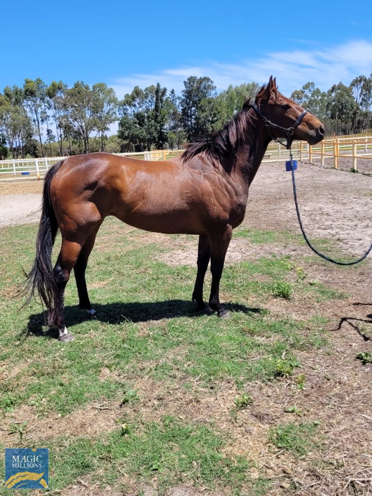 We Wonder Why (AUS) - Image 2