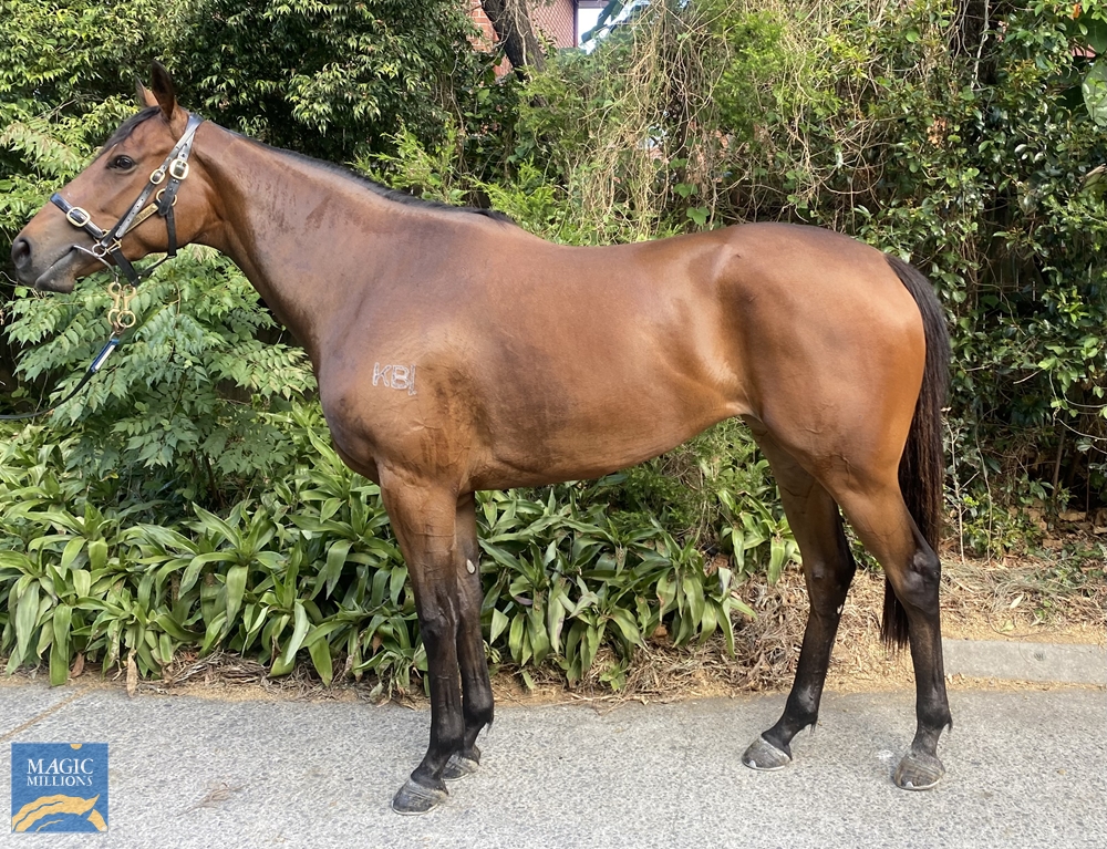 No Retreat (AUS) - Image 1