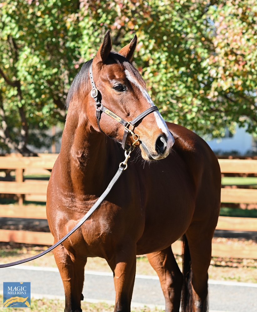 Oh My Mimi (AUS) - Image 1