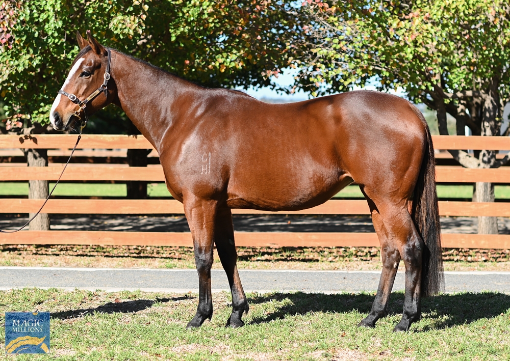 Oh My Mimi (AUS) - Image 2