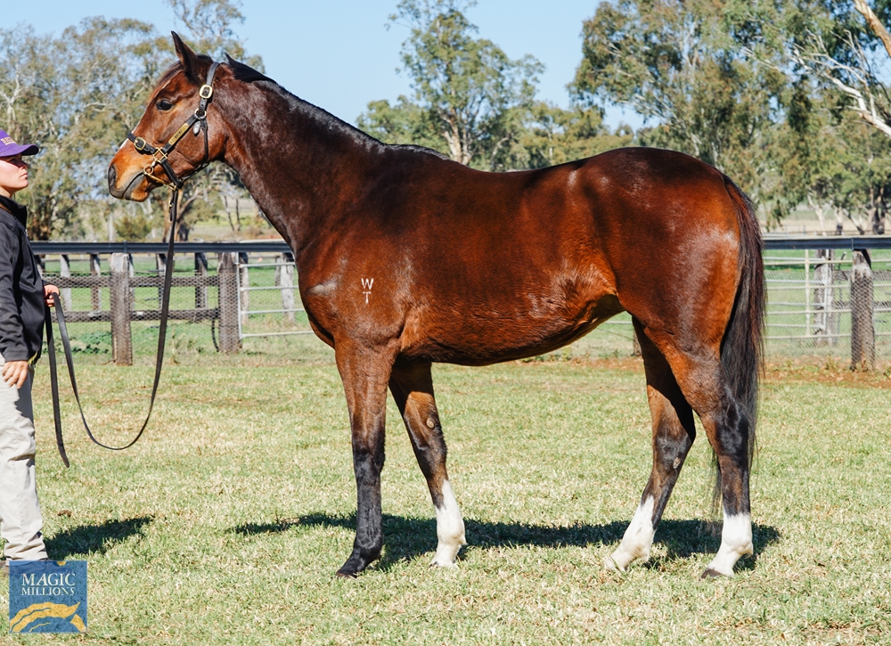 Romantic Road (GB) - Image 1