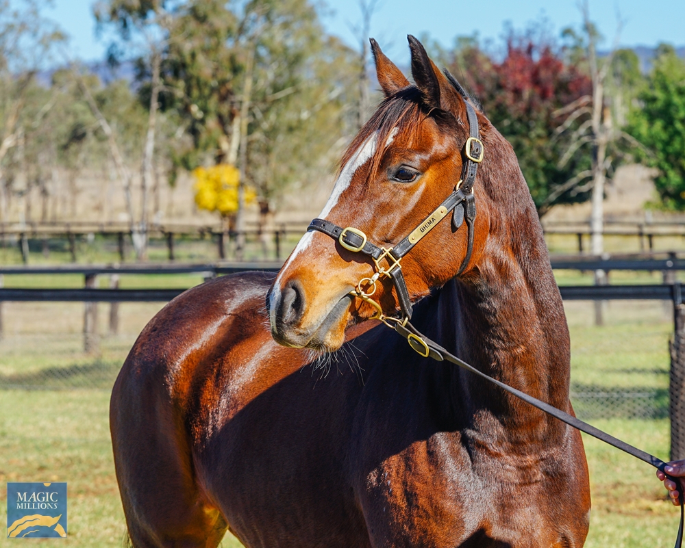 Romantic Road (GB) - Image 2