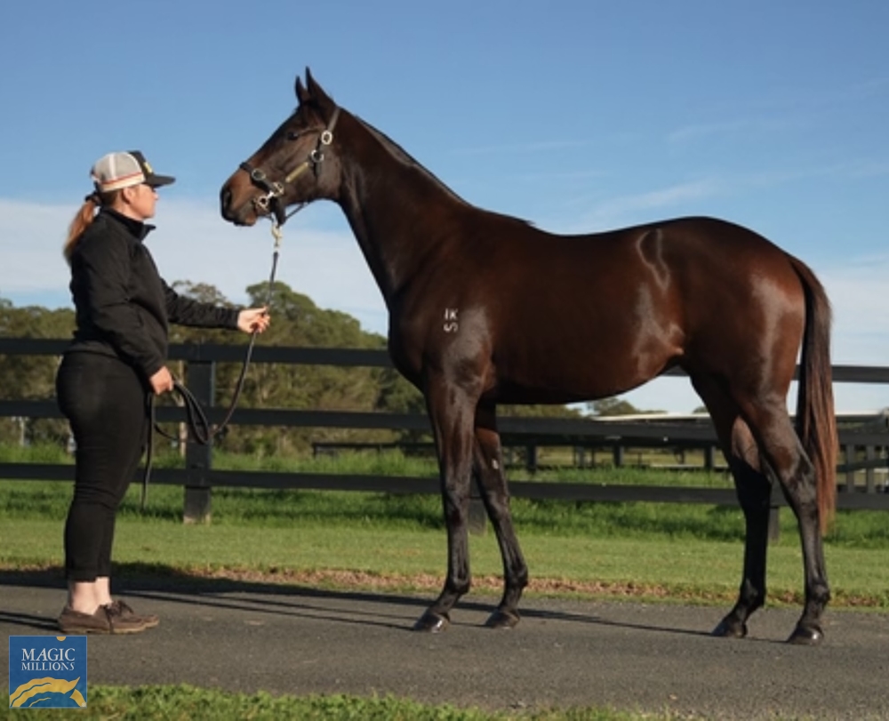 Exceedance (AUS) / Tzu Hsi (AUS) 2021 Filly - Image 1