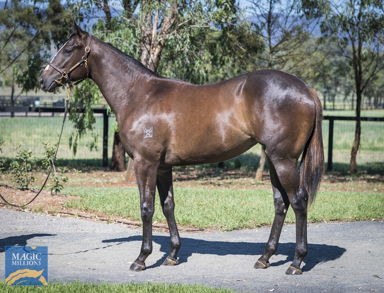 LOT 714 Wld Ruler x Native Bombshell__DSC2182.jpg - Image 1
