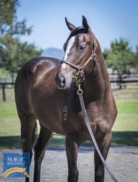 LOT 714 Wld Ruler x Native Bombshell__DSC2238.jpg - Image 2