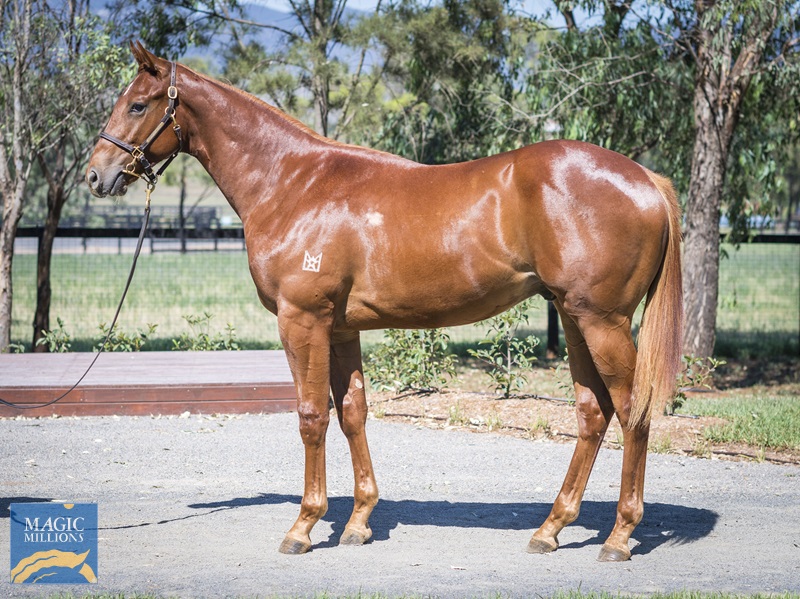 LOT 1045 Unite and Conquer x Tweet__DSC2506.jpg - Image 1