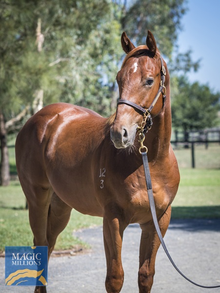 LOT 1045 Unite and Conquer x Tweet__DSC2531.jpg - Image 2