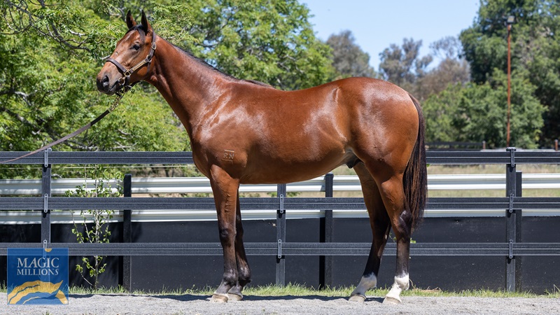 072A6732.jpg - Image 2