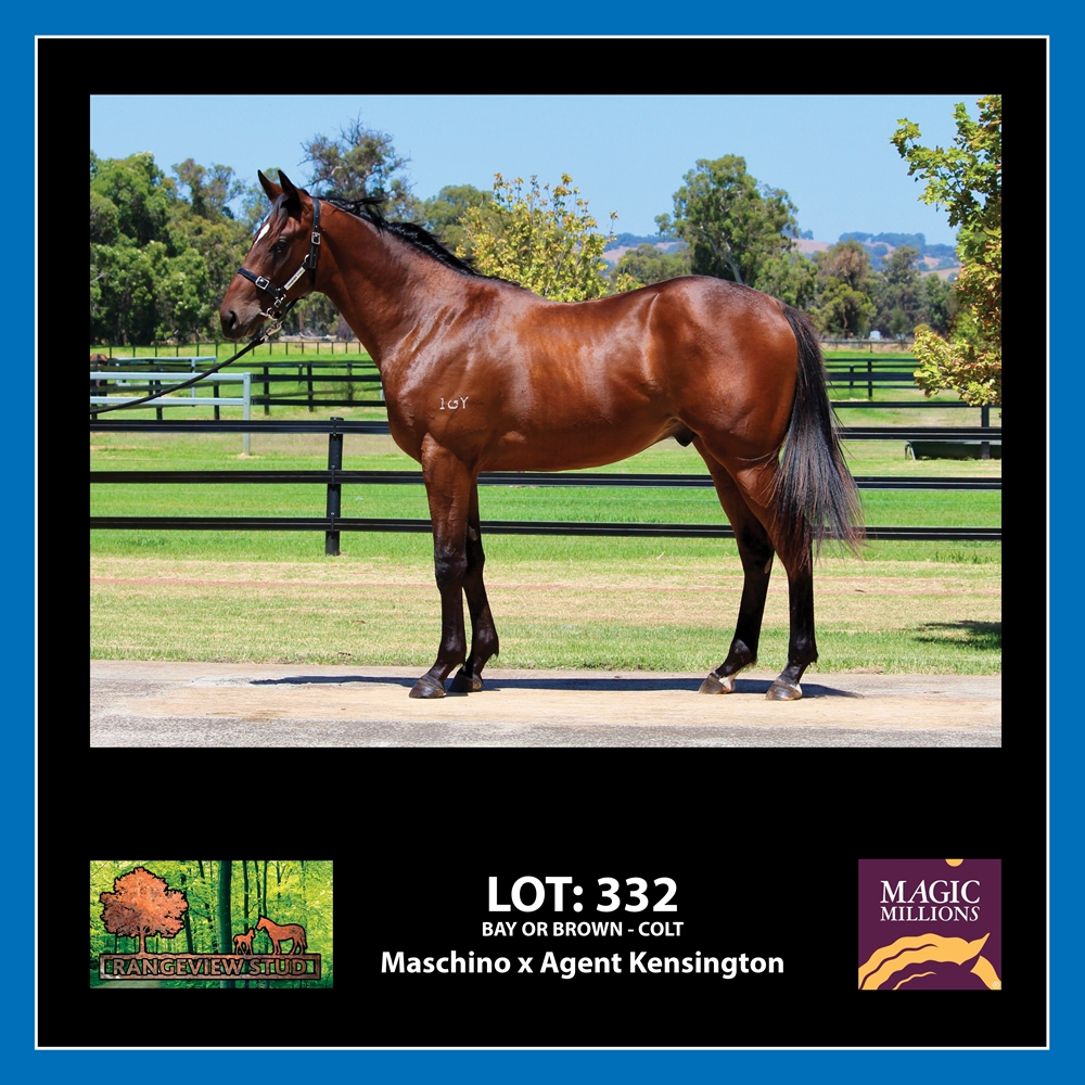 Maschino (AUS) / Agent Kensington (AUS) 2023 Colt - Image 1