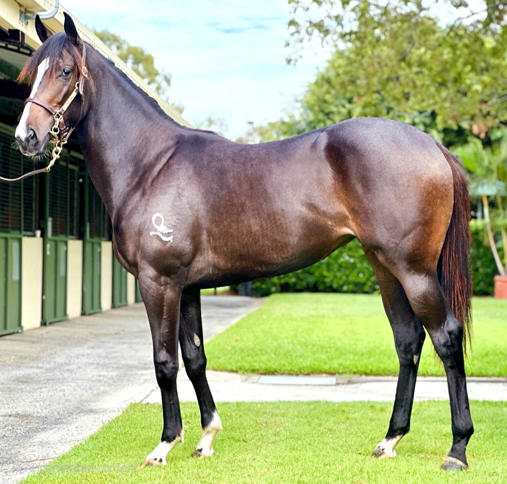 Glenfiddich (AUS) / Classic Diva (AUS) 2023 Filly - Image 1