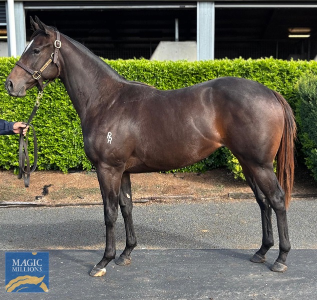 Ahika 23 14.04.25.jpg - Image 1