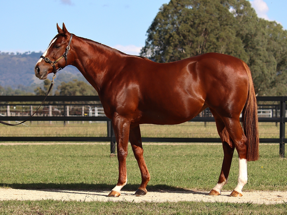 Kela's Turn (USA) - Image 1