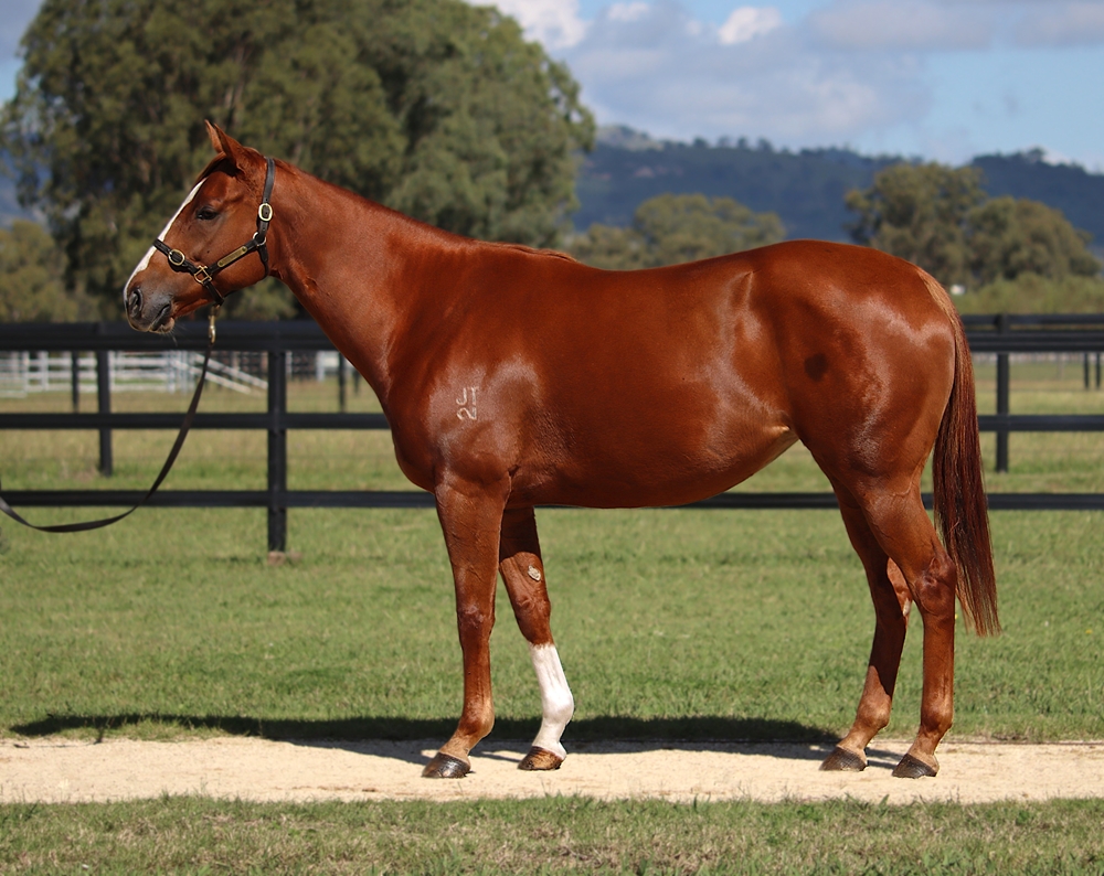 True Gem (AUS) - Image 1