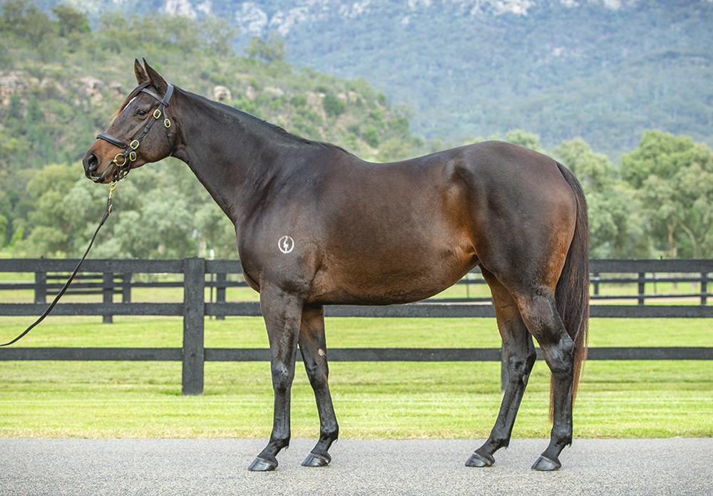 Juggle (AUS) - Image 1