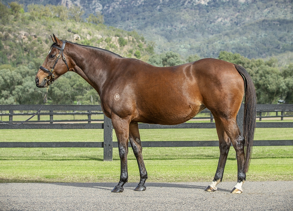 Monogram (AUS) - Image 1