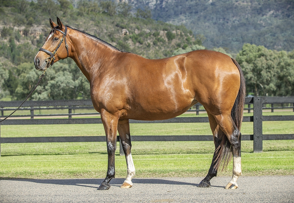 Slipslide (AUS) - Image 1