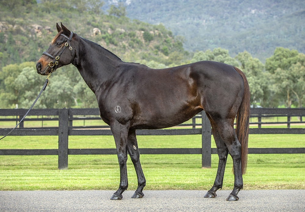 Arcane (AUS) - Image 1