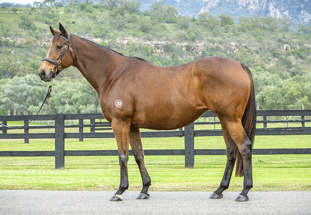 Aspen (AUS) - Image 1