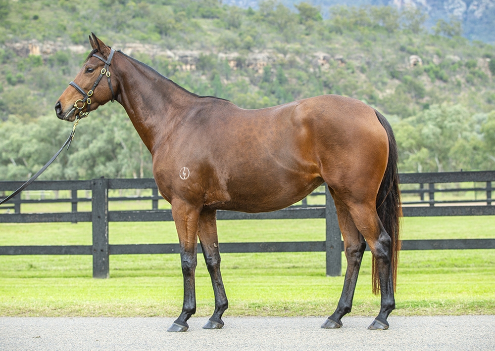 Belledonne (AUS) - Image 1