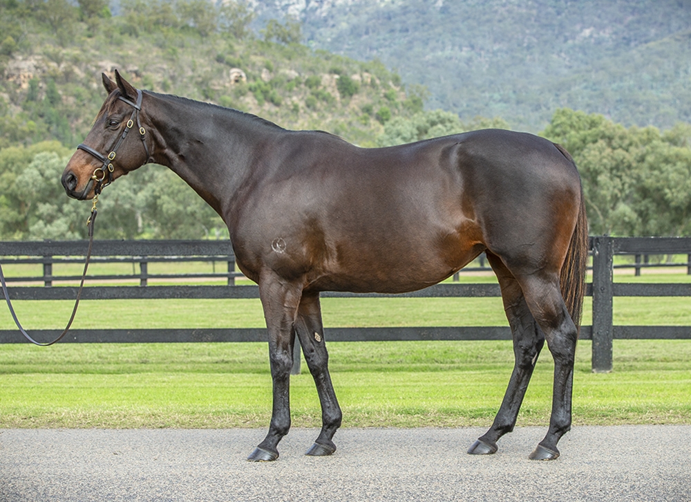 Colombina (AUS) - Image 1