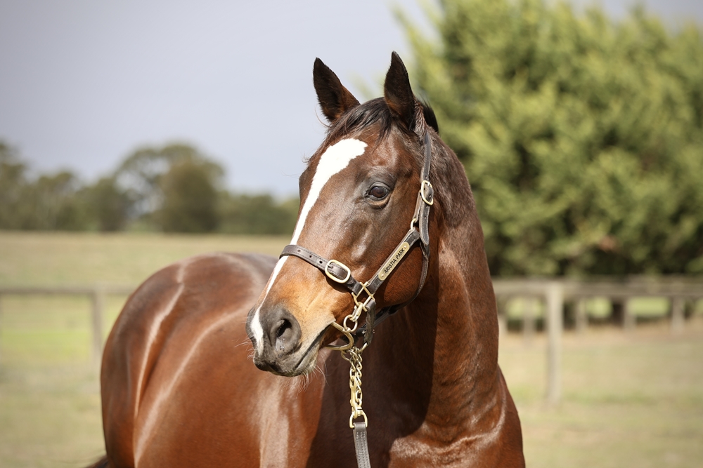 Hell or Highwater (AUS) - Image 2