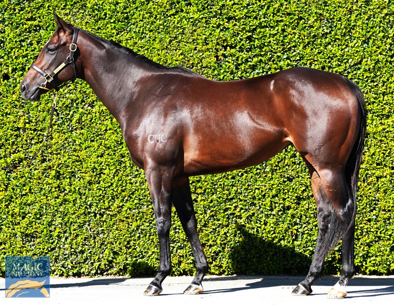 CENTRESTONE Left.jpg - Image 1