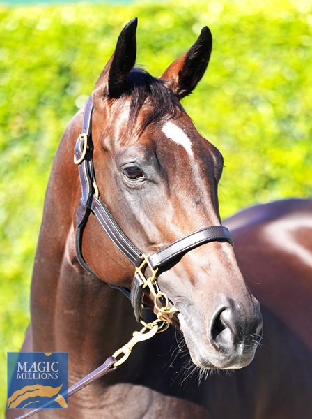 CENTRESTONE Head.jpg - Image 2