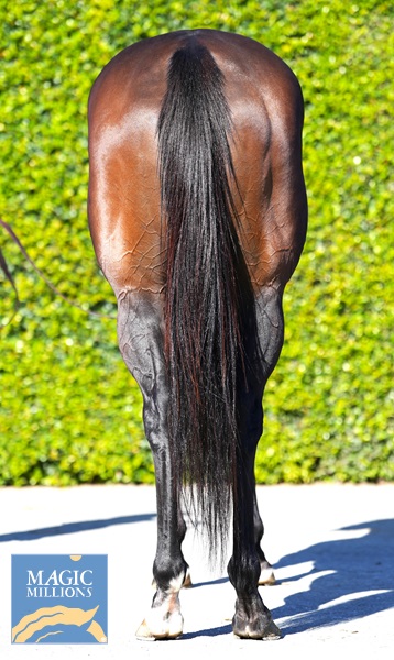 CENTRESTONE Rear.jpg - Image 4