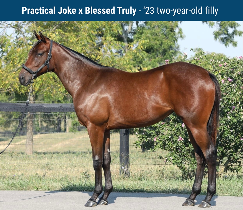 Blessed Truly (CAN) - Image 1