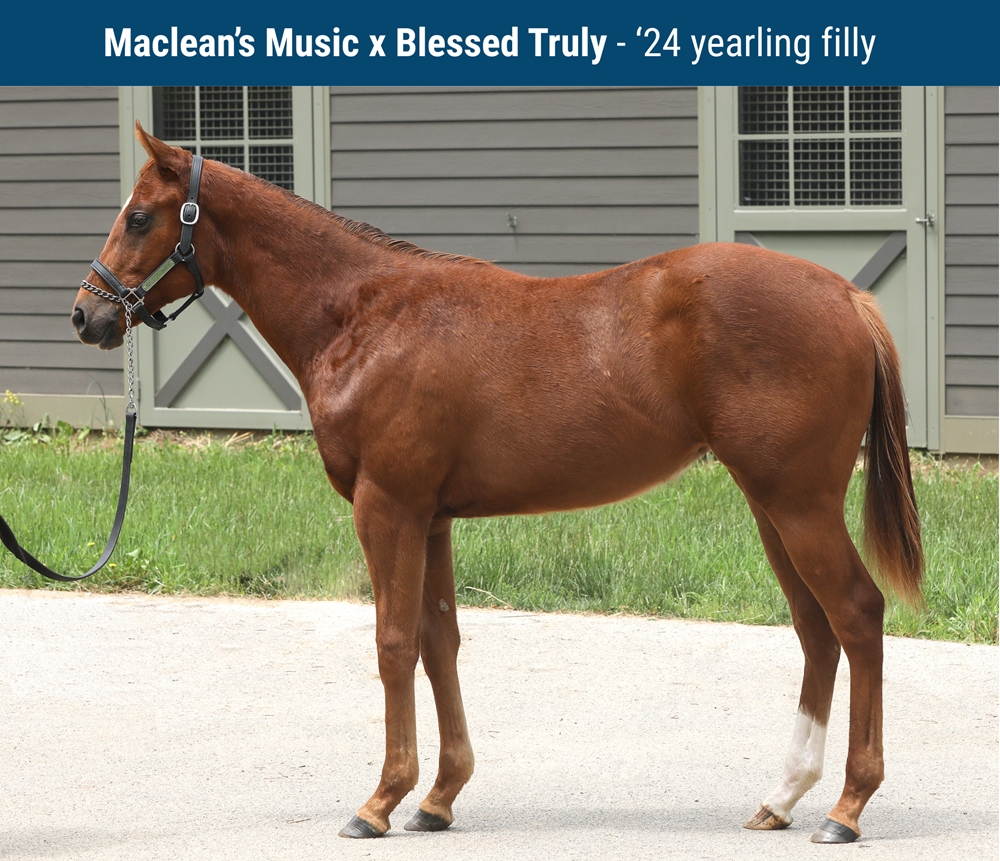 Blessed Truly (CAN) - Image 2