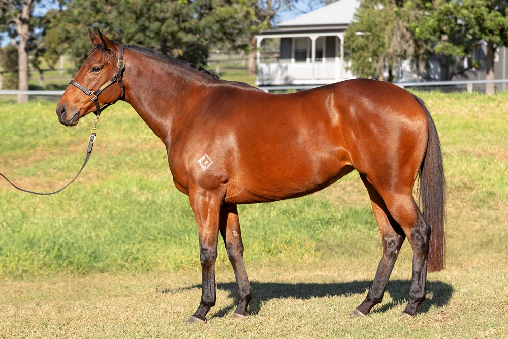 Miss Passion (AUS) - Image 1