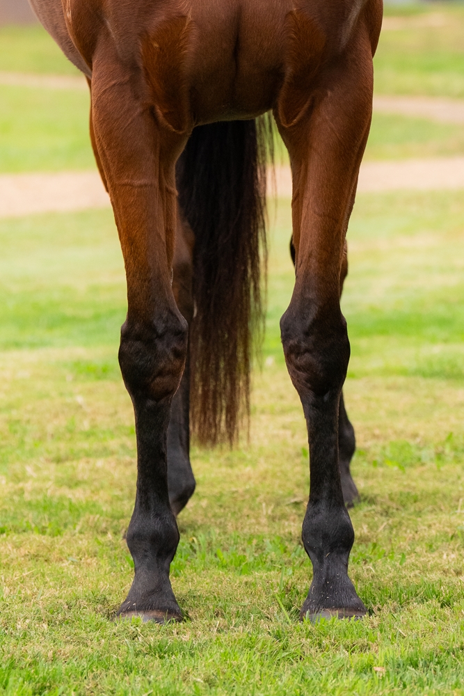 Little Baia (AUS) - Image 3