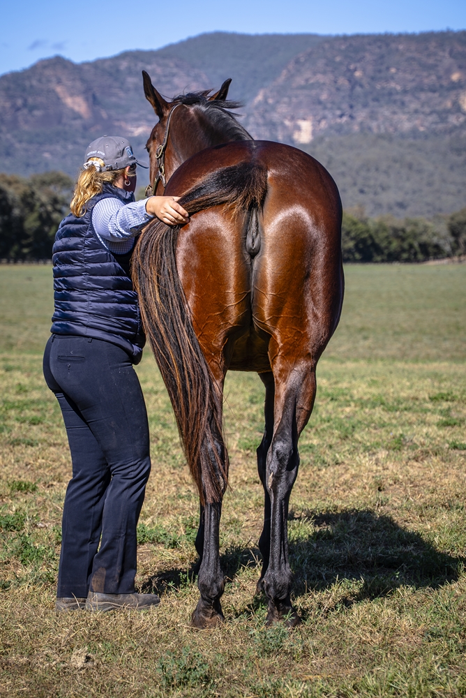 French Step (AUS) - Image 4