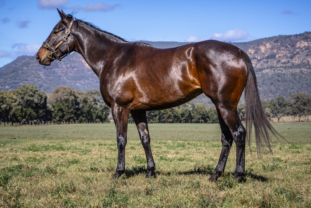 Leni Louise (AUS) - Image 1