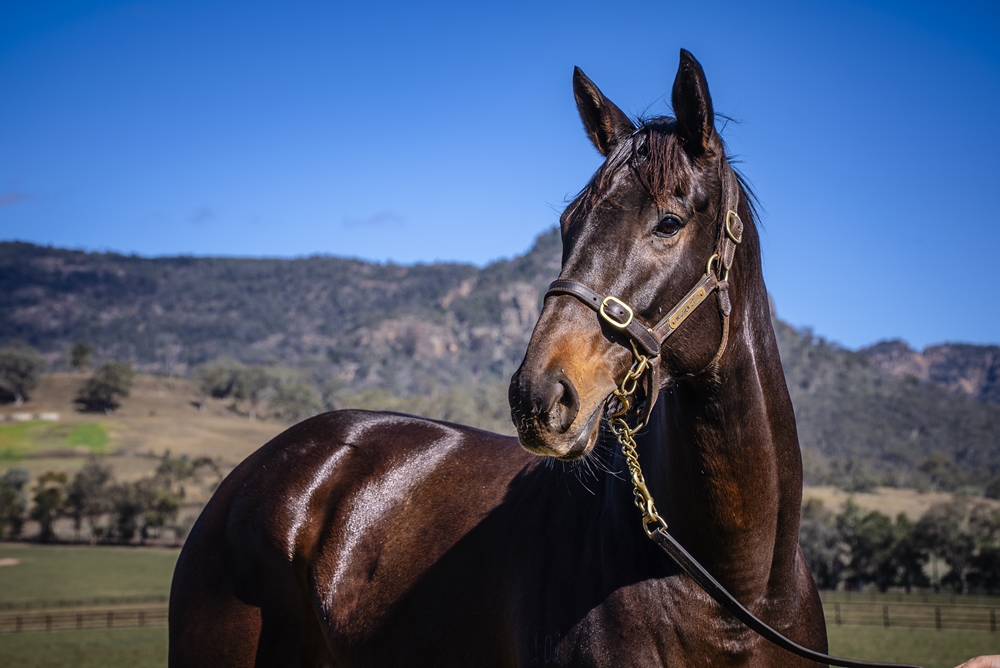 Leni Louise (AUS) - Image 2