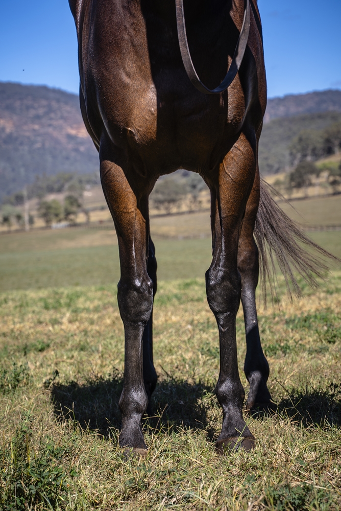 Leni Louise (AUS) - Image 3