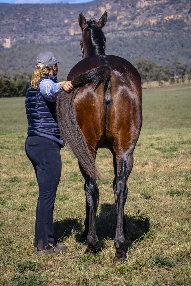 Leni Louise (AUS) - Image 4