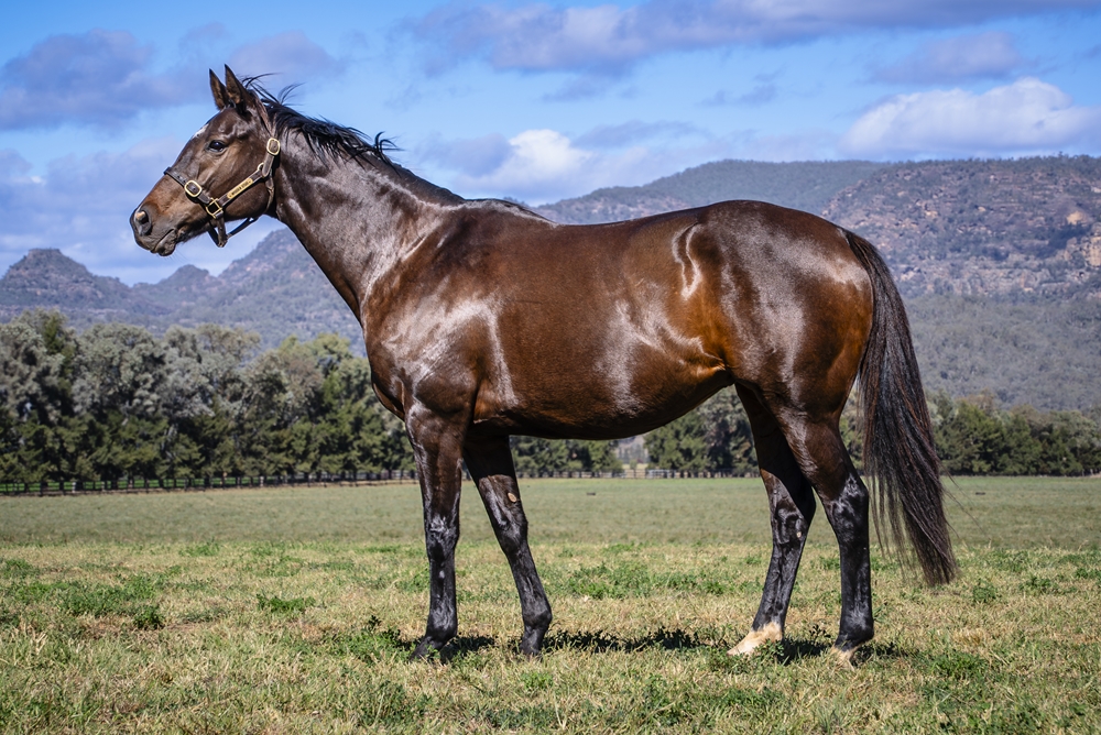 More Than a Legend (USA) - Image 1