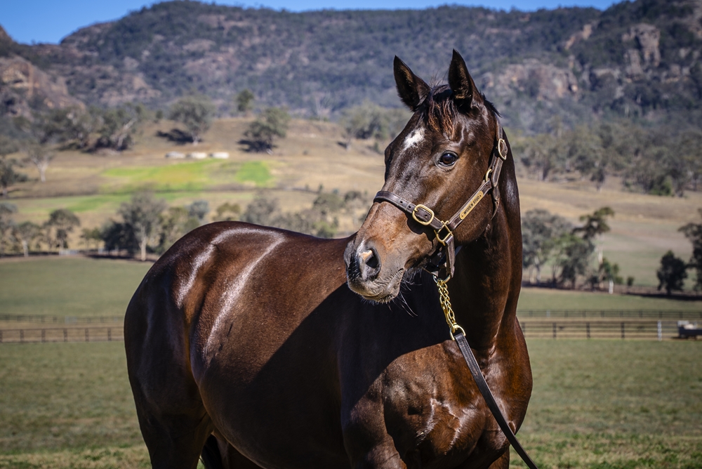 More Than a Legend (USA) - Image 2