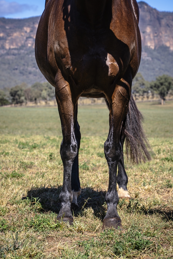 More Than a Legend (USA) - Image 3